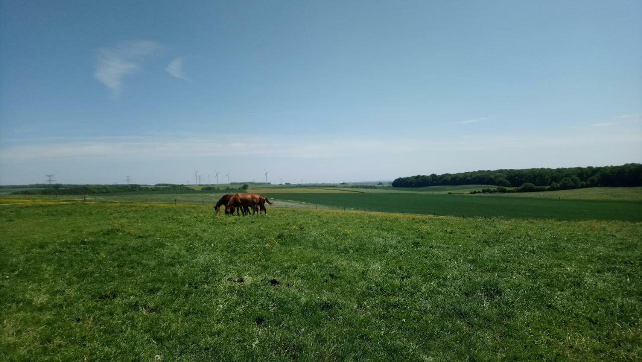 Jad Ranch 호텔 Raucourt-et-Flaba 외부 사진